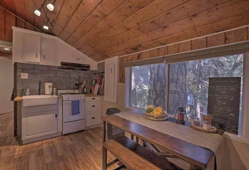 Cozy, Pet Friendly Mtn Cabin: 1 Mi To Lake Gregory