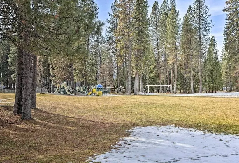 Downtown Cabin < 10 Miles To Mt Shasta Ski Park!