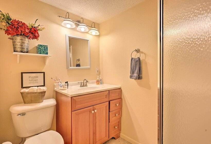 Four Season Home On Scenic Bluff Country Acreage!