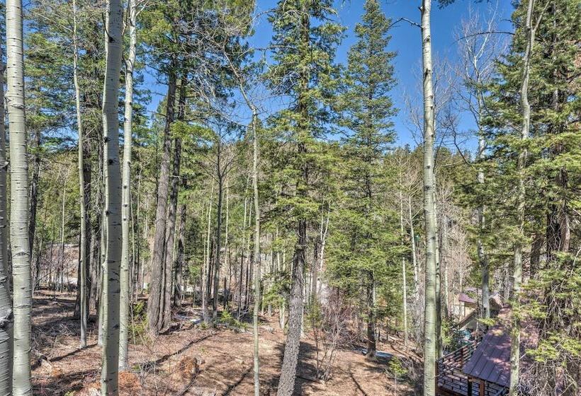 Quaint Cloudcroft Cabin W/ Stunning Forest Views!