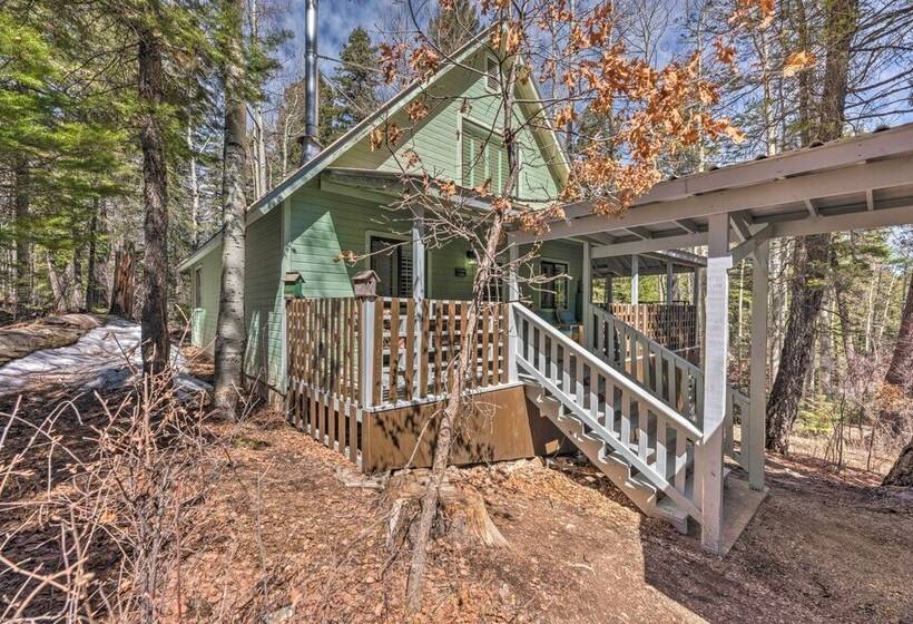 Quaint Cloudcroft Cabin W/ Stunning Forest Views!