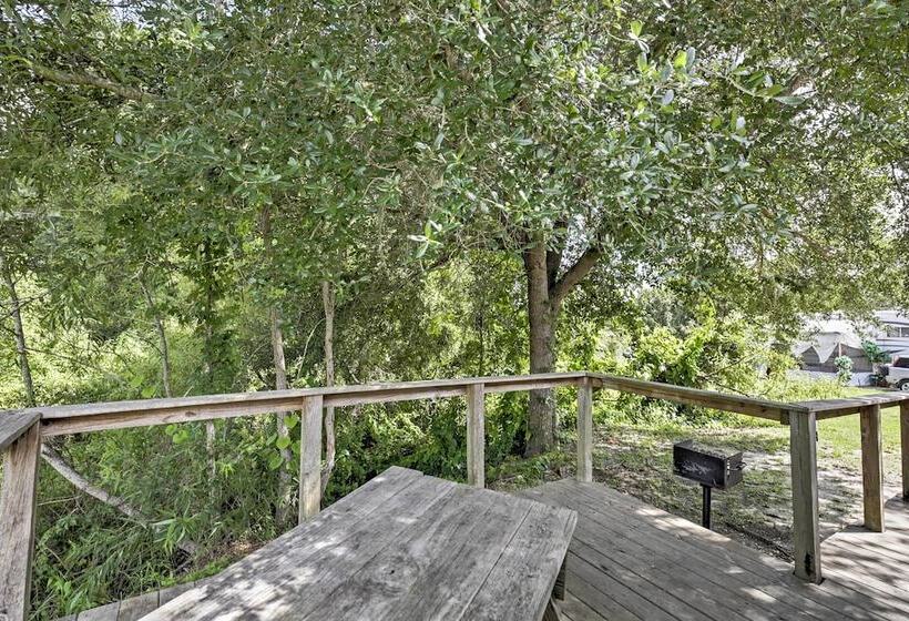 Charming Silver Springs Cabin W/ Forest Views!