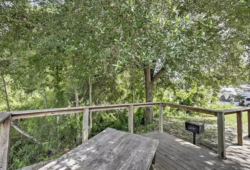 Charming Silver Springs Cabin W/ Forest Views!