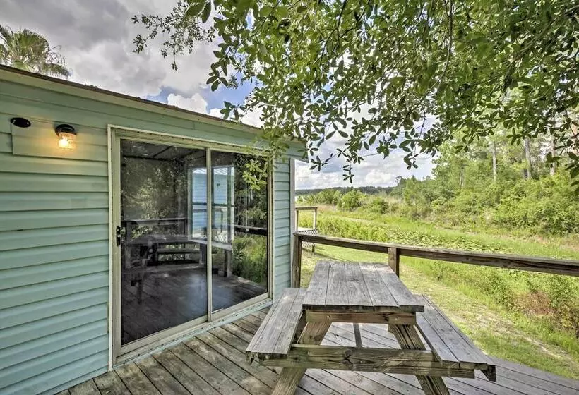Charming Silver Springs Cabin W/ Forest Views!