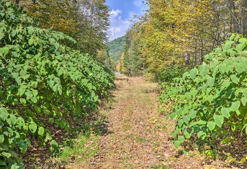 Home On Shared 10 Acres, On Site Trail Access