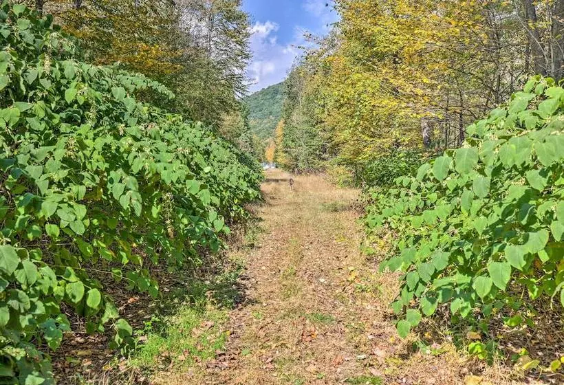 Home On Shared 10 Acres, On Site Trail Access