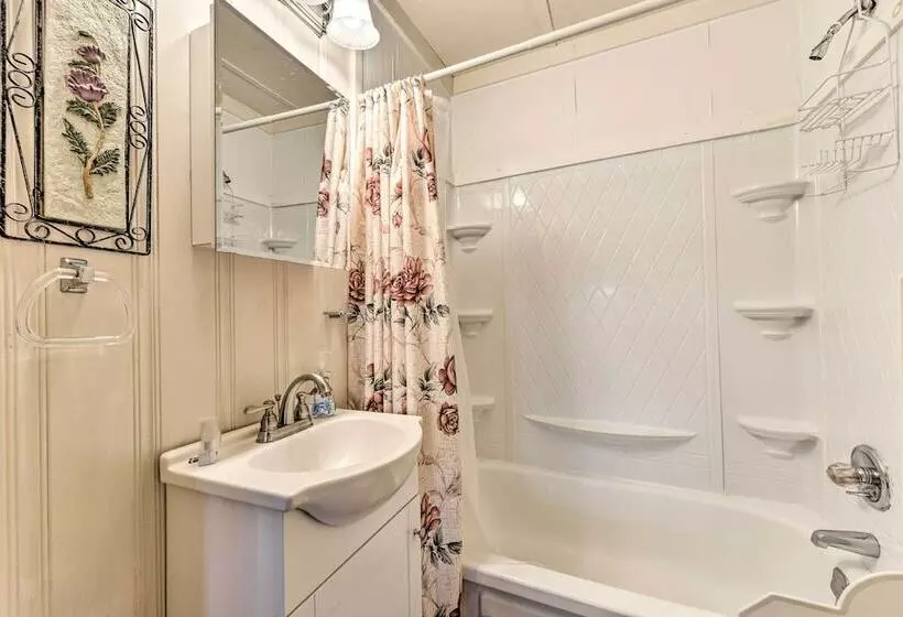 Pet Friendly Lake Norman Cottage: Swim, Boat, Fish