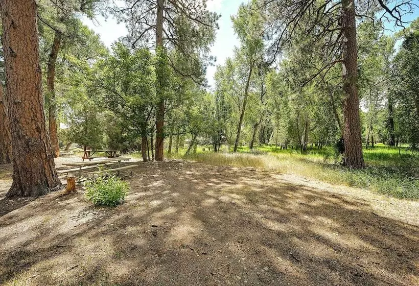 Rustic Cabin Near Downtown Bv & Arkansas River!