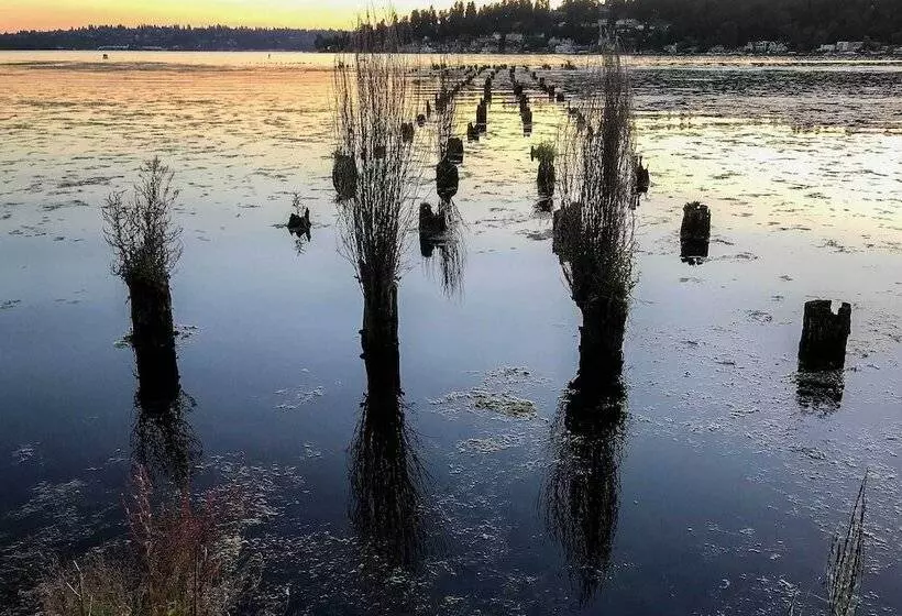 Seattle Area Studio, 2 Mi To St Edward State Park!