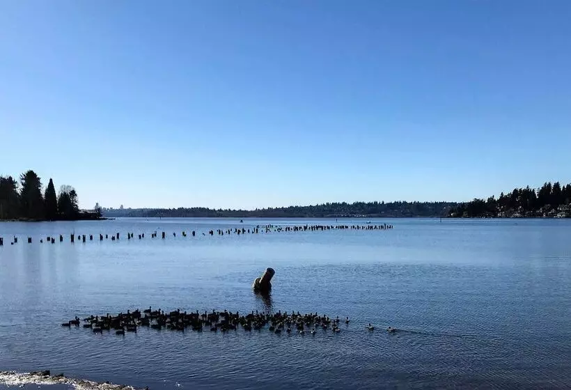 Seattle Area Studio, 2 Mi To St Edward State Park!