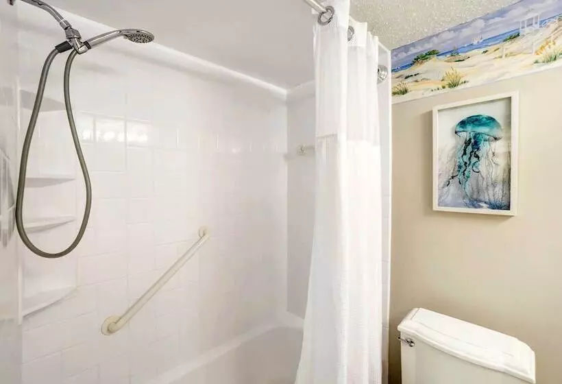 Indian Rocks Beach Cottage, Walk To Beach!