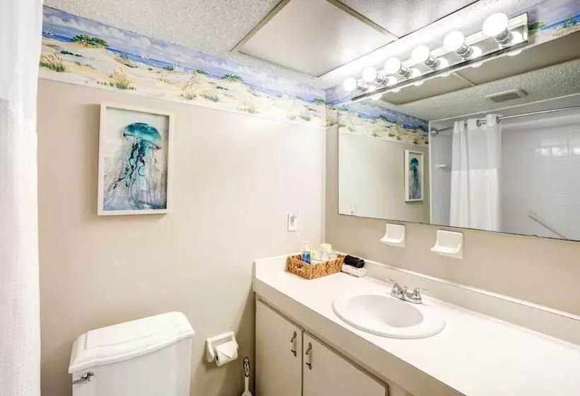 Indian Rocks Beach Cottage, Walk To Beach!