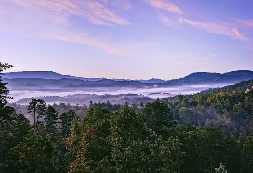 Private Cabin W/ Tree Top Mtn Views: Pets Welcome