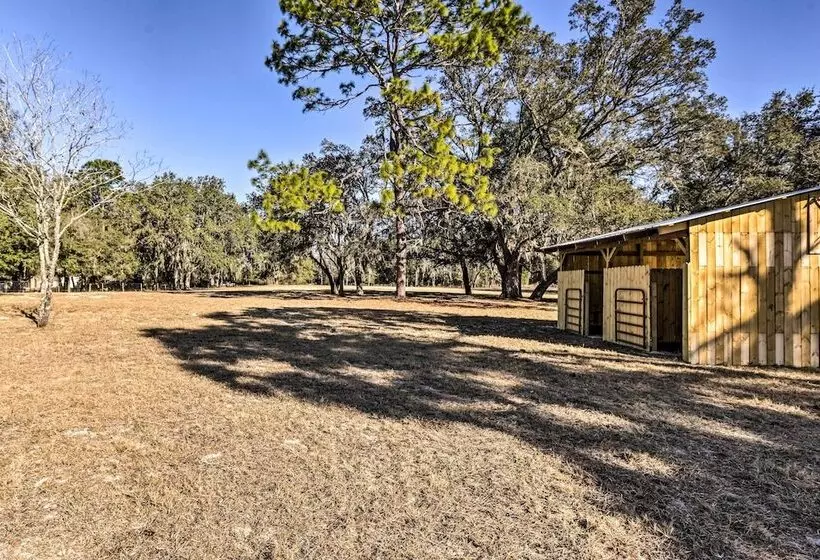 Ocala Equestrian Escape W/ Private Pasture!