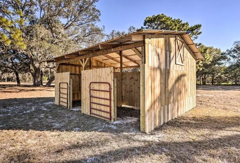 Ocala Equestrian Escape W/ Private Pasture!