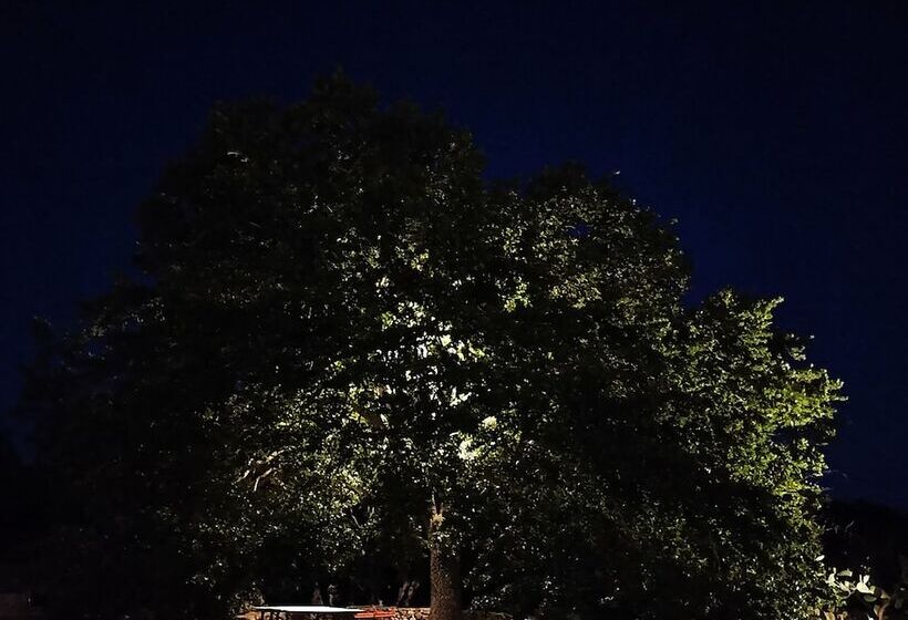 Bed and Breakfast Masseria Lojazzo