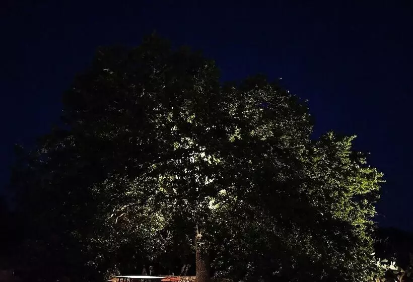 تختخواب و صبحانه Masseria Lojazzo