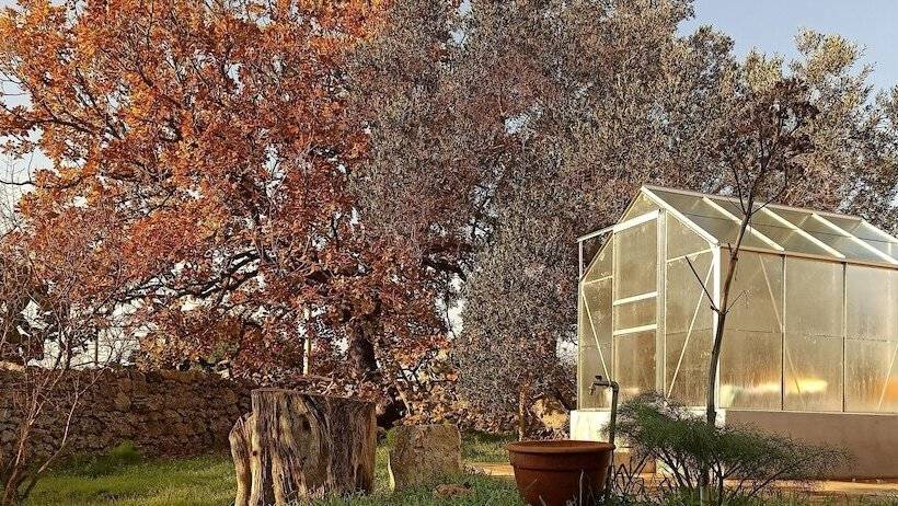 Bed and Breakfast Masseria Lojazzo