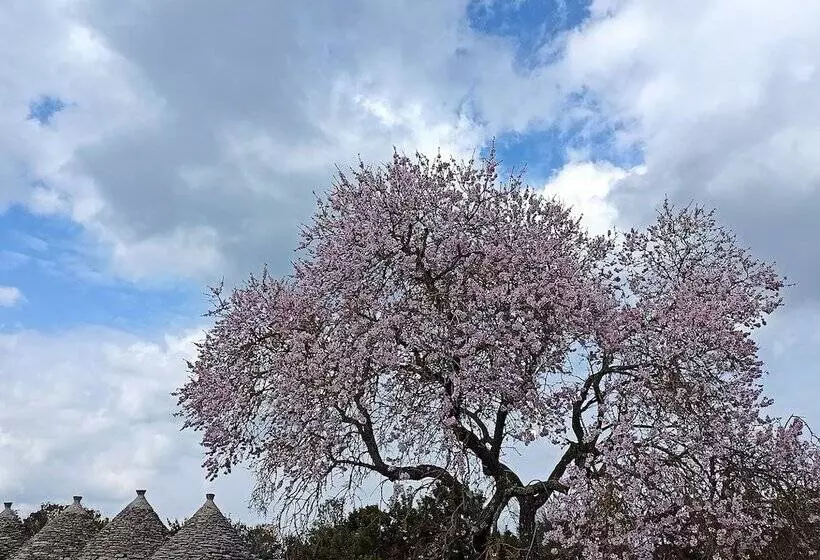 تختخواب و صبحانه Masseria Lojazzo