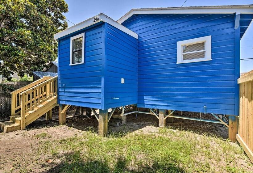 Blue Dolphin  Cottage: Walk To Galveston Seawall!