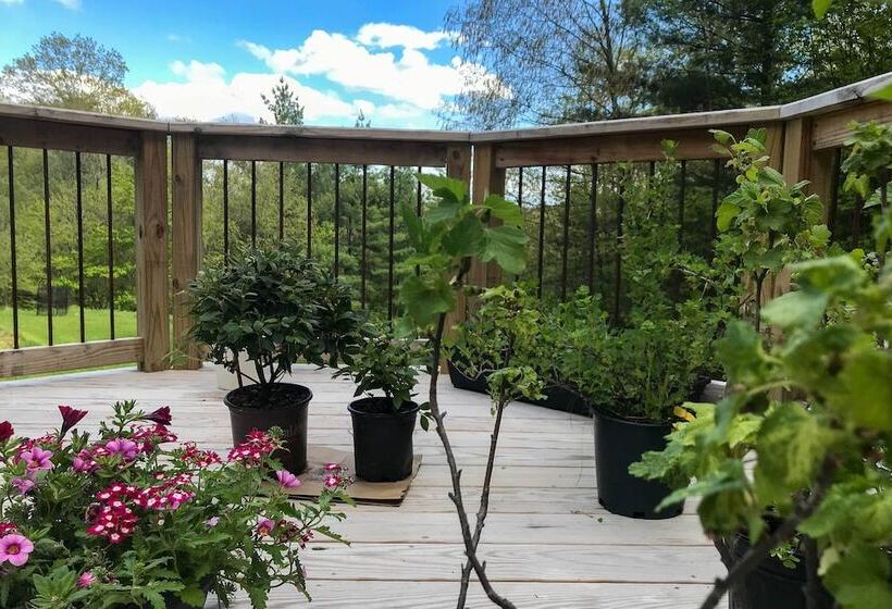 Cozy Cabin In The Woods By Ashokan Reservoir