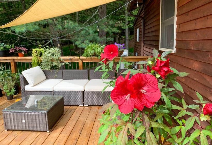 Cozy Cabin In The Woods By Ashokan Reservoir