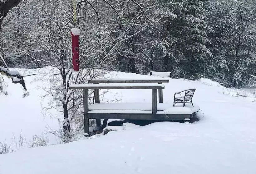 Cozy Cabin In The Woods By Ashokan Reservoir