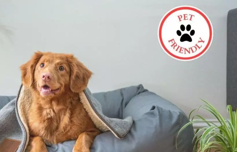 Motelli Super Sleep Inn