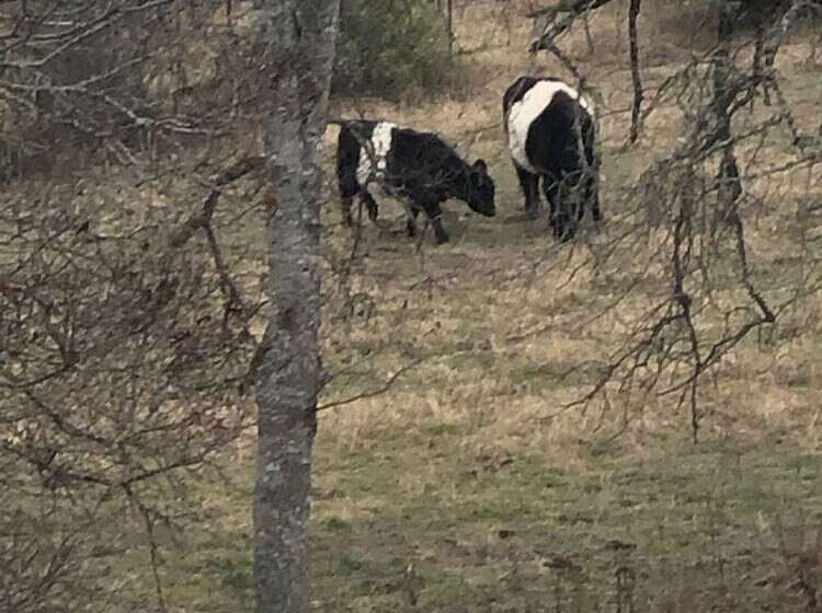 צימר A Barn At The Quarry