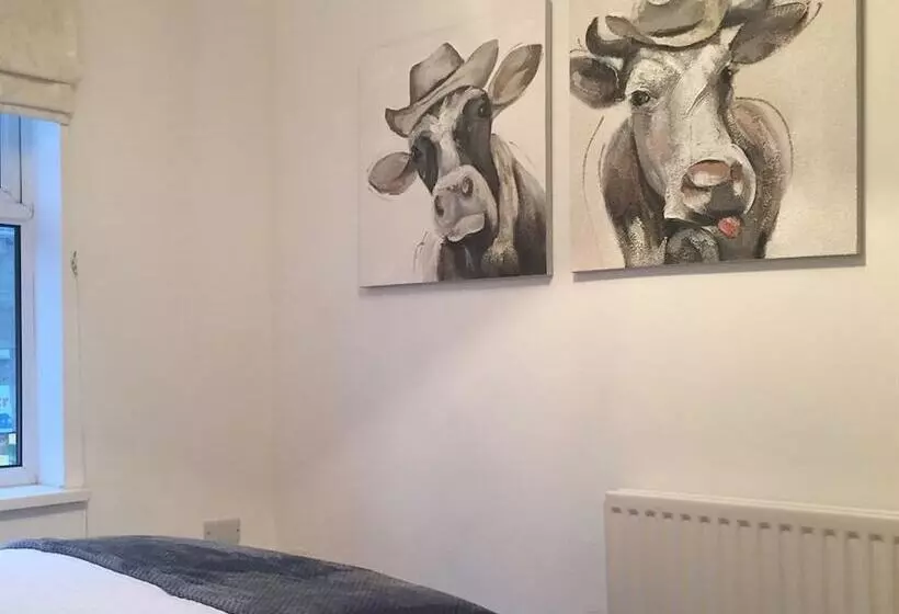 Durham Serviced Properties