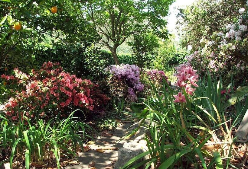 酒店 Briardale Bed & Breakfast