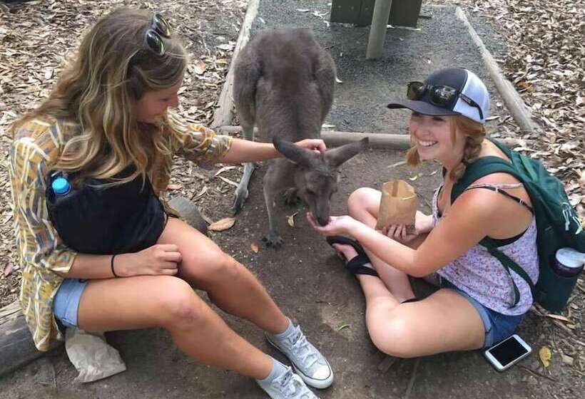 Отель Mooloolaba Backpackers