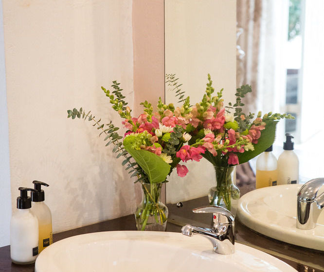 Jan Harmsgat Country House