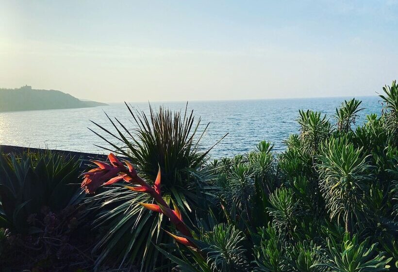 ペンション Chelsea House