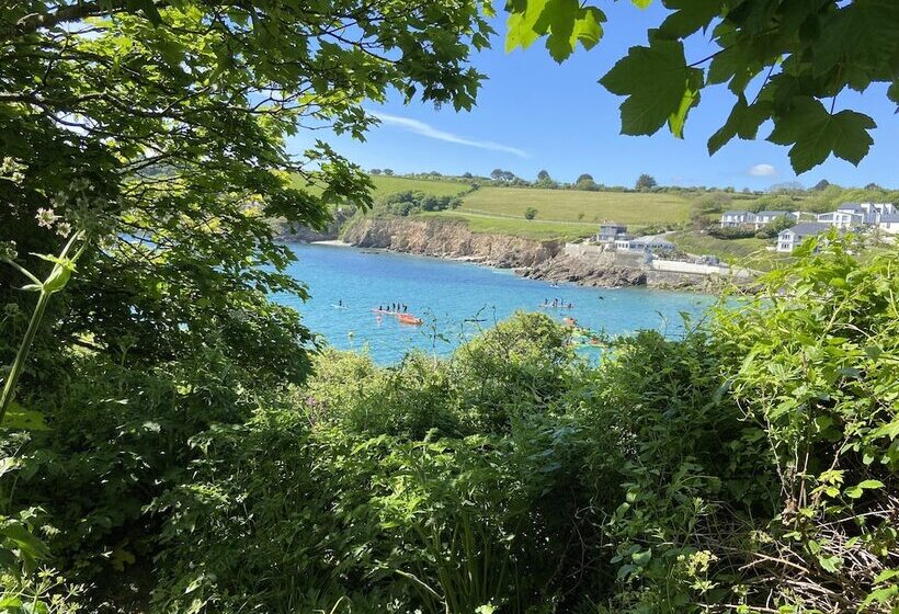 ペンション Chelsea House