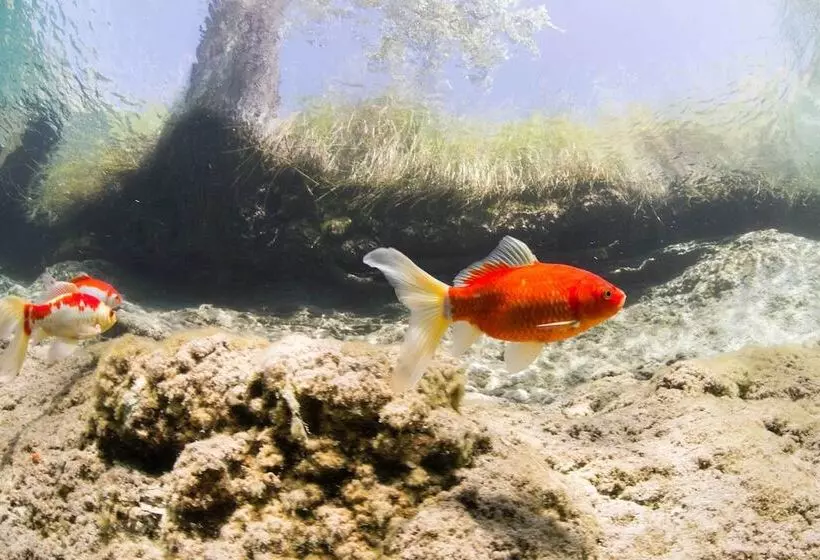 Charming Santa Rosa Home W/ Mountain Views & Porch