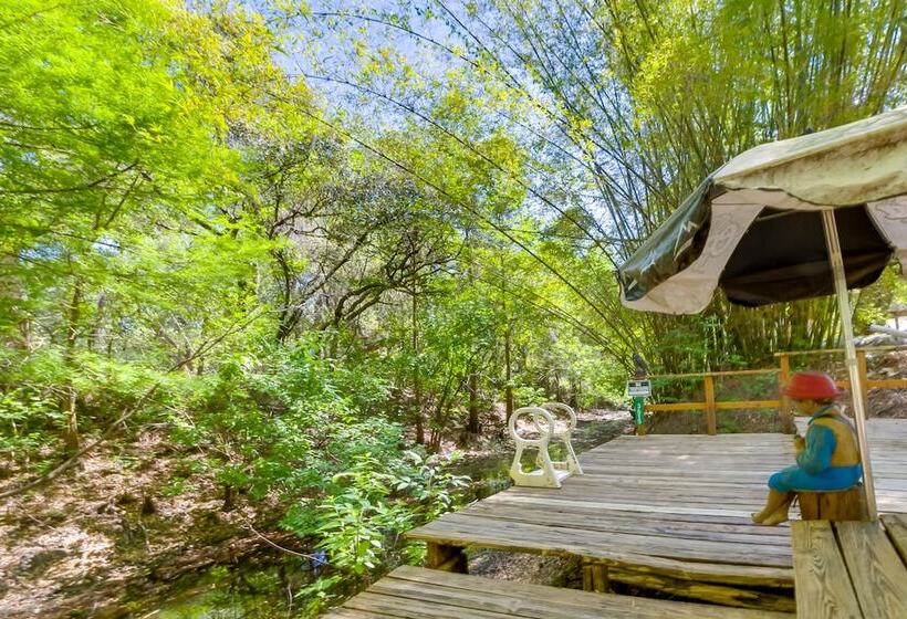 Fire Pit & Boat Dock: Peaceful Dunnellon Cabin!