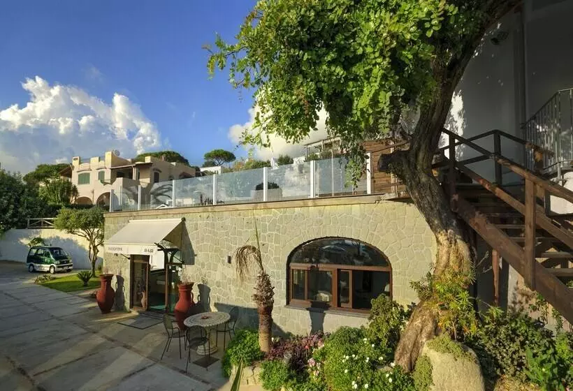 Room In B&b   Forio With A Breathtaking View, For 2people