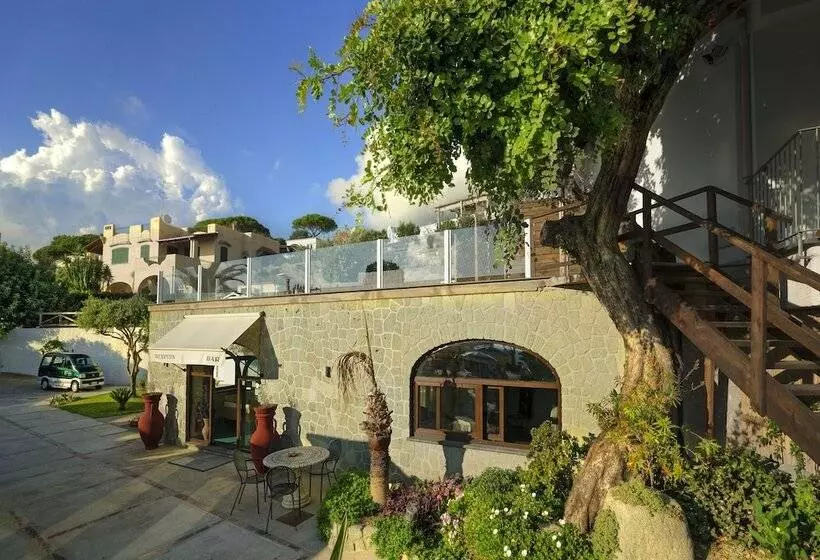 Room In B&b   Forio With A Breathtaking View, For 2people