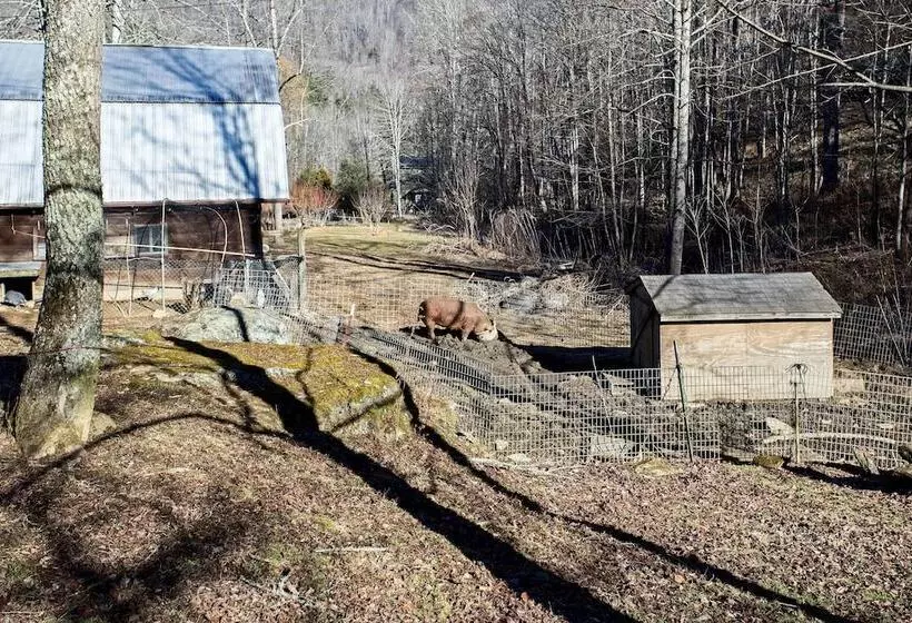 Emerald Gate Farm Cabin W/ On Site Fishing Pond!