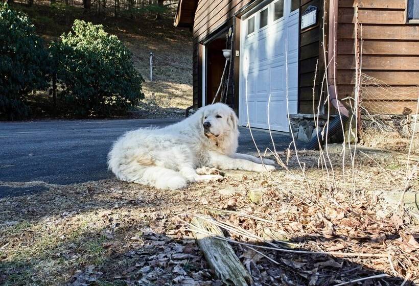 Emerald Gate Farm Cabin W/ On Site Fishing Pond!
