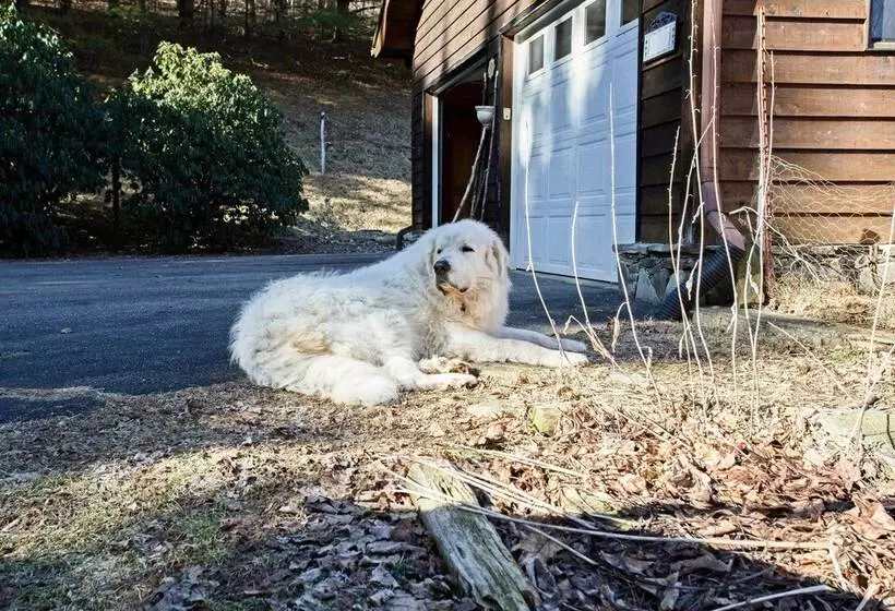 Emerald Gate Farm Cabin W/ On Site Fishing Pond!