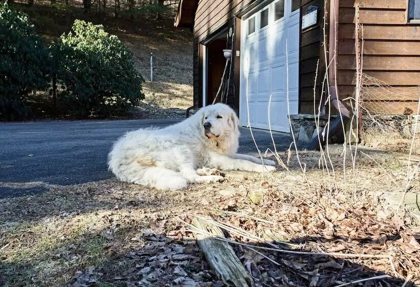 Emerald Gate Farm Cabin W/ On Site Fishing Pond!
