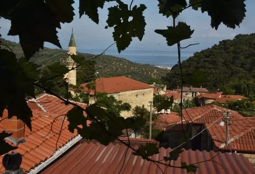 ホテル Sardunya Konak