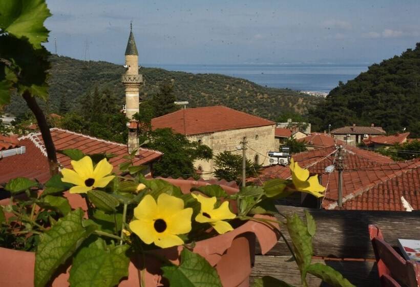 Hotel Sardunya Konak