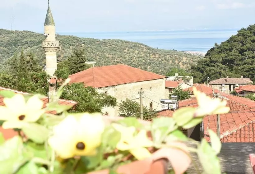 ホテル Sardunya Konak