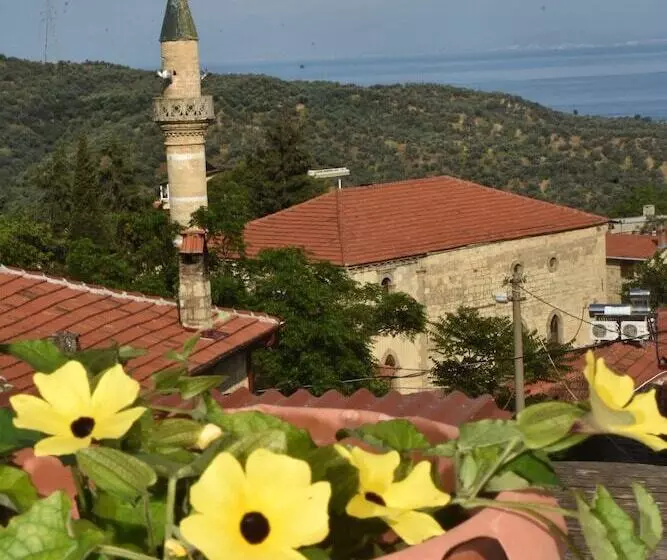 ホテル Sardunya Konak