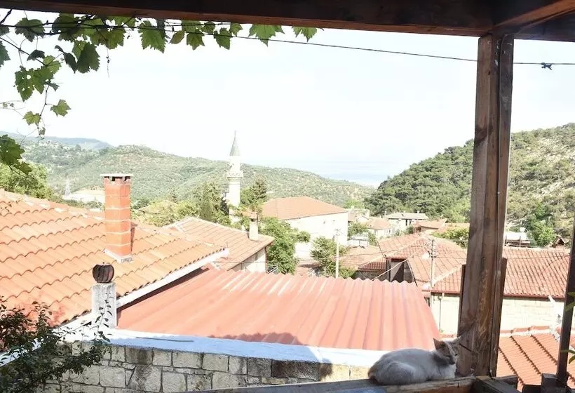 ホテル Sardunya Konak