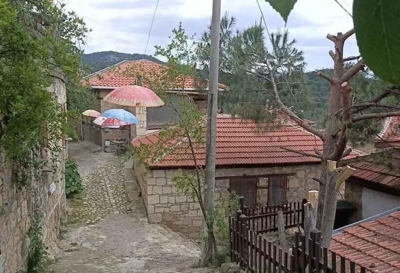 ホテル Sardunya Konak