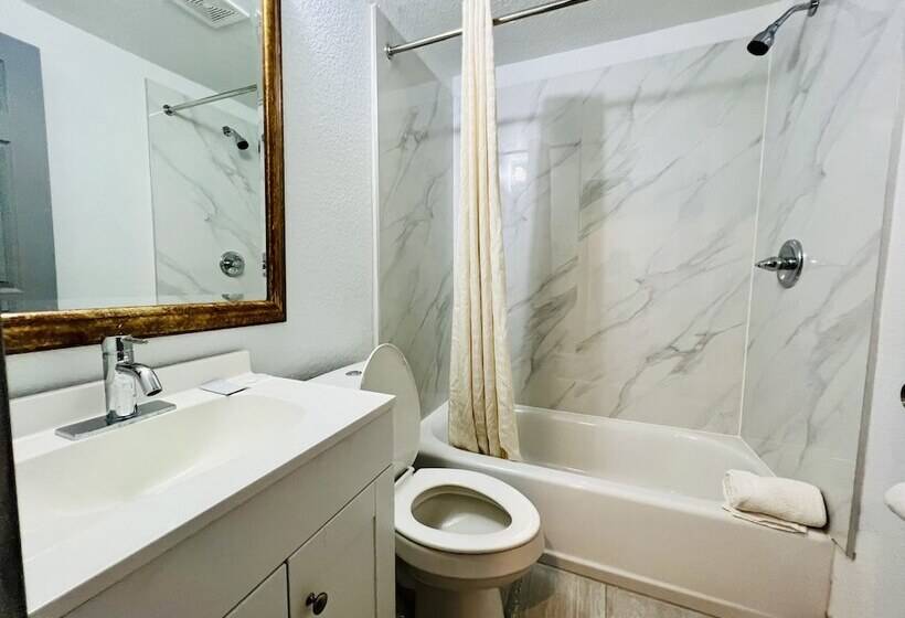 汽车旅馆  The Express Inn